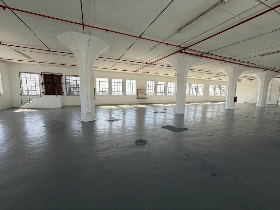 To Let Commercial Property for Rent in Woodstock Western Cape